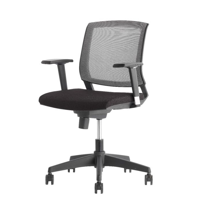 Friant Amenity Task Chair