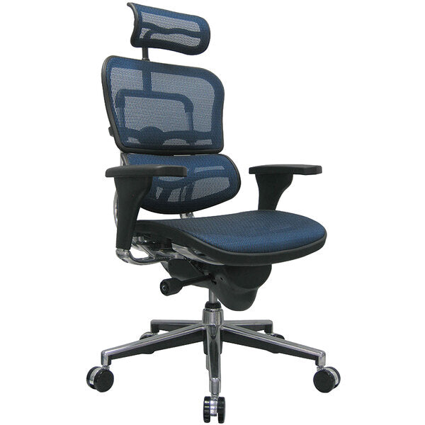 Eurotech Ergohuman High Back Task Chair