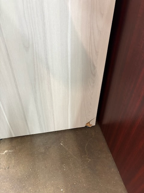 N9NE Furniture 2-Drawer Lateral File Cabinet