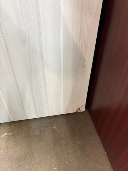 N9NE Furniture 2-Drawer Lateral File Cabinet