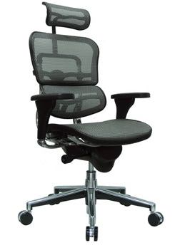 Eurotech Ergohuman High Back Task Chair