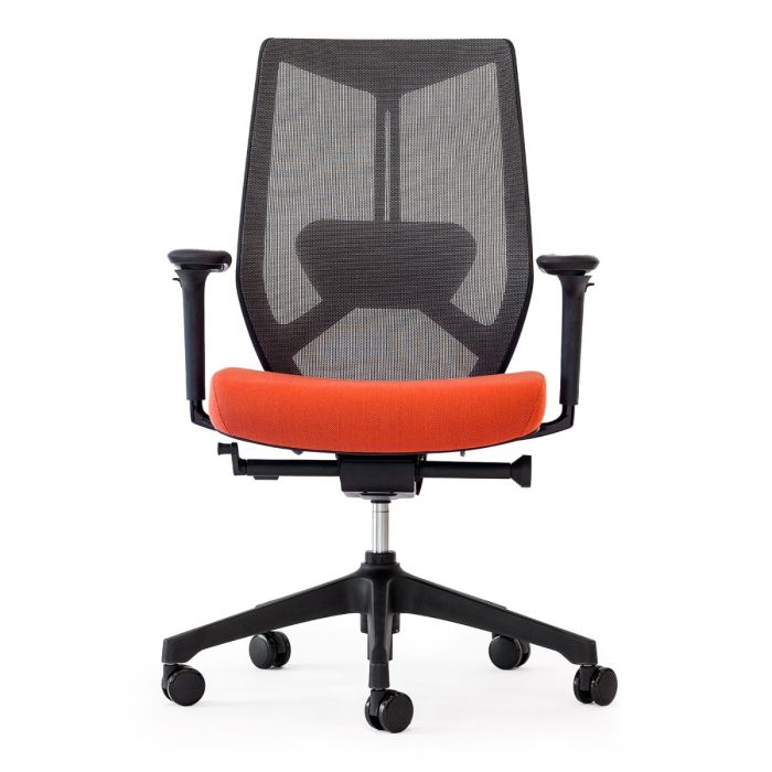 Friant Ignite Task Chair